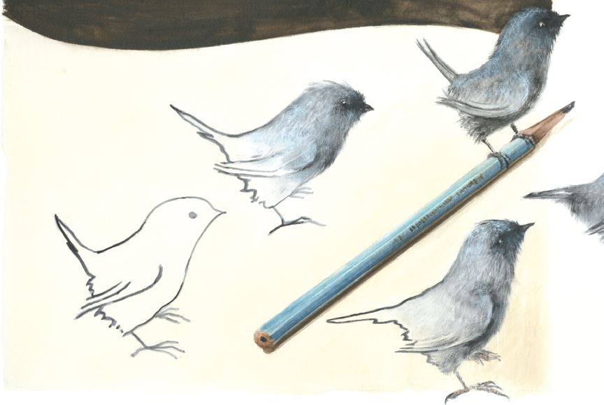 Pássaros de desenho se transformando em reais. Página 12 do livro Como nascem os pássaros azuis. Imagem ilustrativa texto livro de imagem.