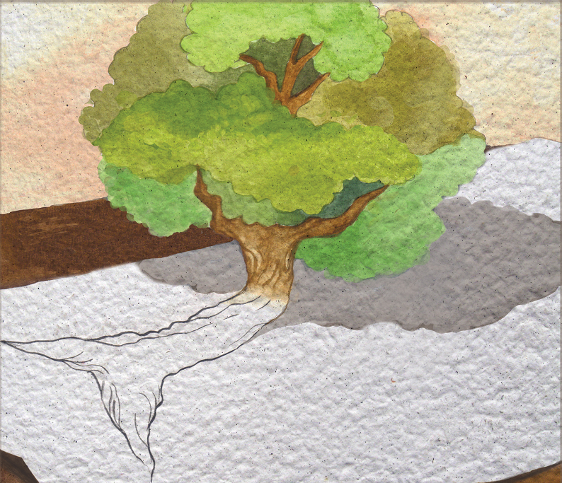 Árvore desenhada se transforma em real. Página 14 do livro Na ponta do lápis. Imagem ilustrativa texto livro de imagem.