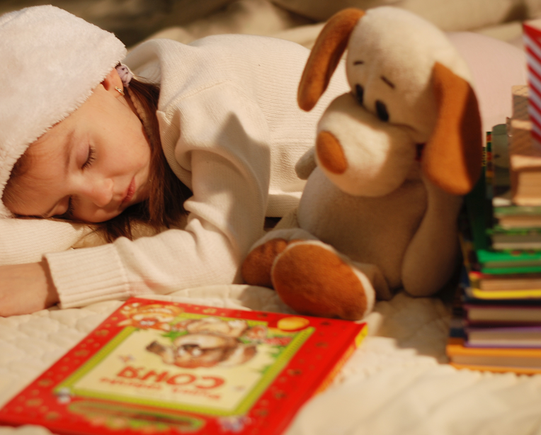 Menina dormindo com gorro de Papai Noel, com cachorro de brinquedo e livros. Imagem ilustrativa texto livro de presente para criança.