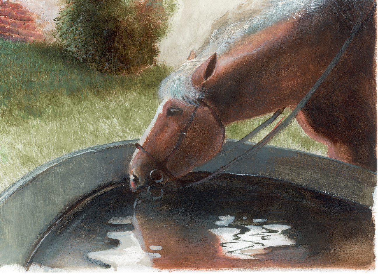 Cavalo bebendo água no poço O artesão, página 11. Imagem ilustrativa texto Walter Lara.