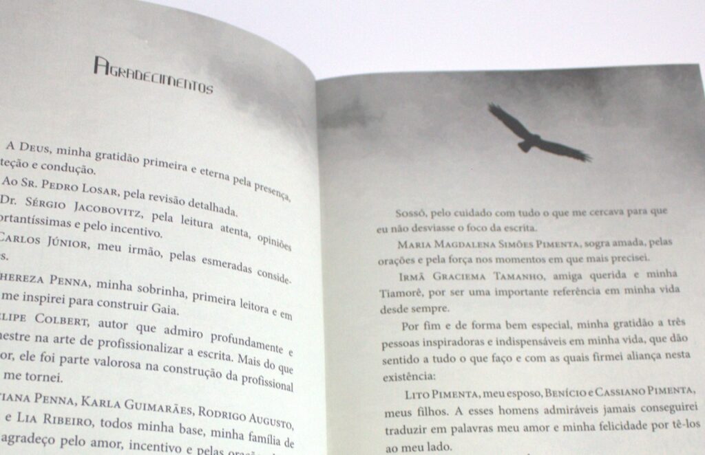 Agradecimentos. Imagem ilustrativa texto partes do livro.
