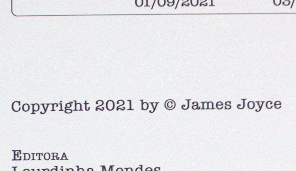 Copyright. Imagem ilustrativa texto partes do livro.